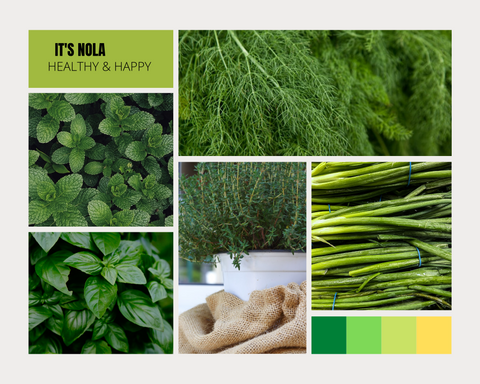 The Best Springtime Herbs for Your Garden